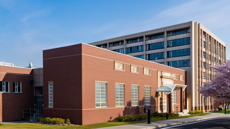 湛江國際學校排名前十名