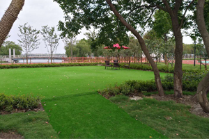 上海宏潤博源學校校園環(huán)境