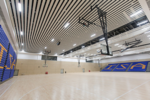 廣州科學(xué)城愛莎外籍人員子女學(xué)校校園環(huán)境