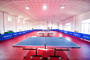 北京青苗國際雙語學校懷柔國際部