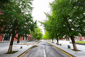 東北大學(xué)哈珀國(guó)際教育中心