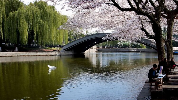 比德佛國際學(xué)校