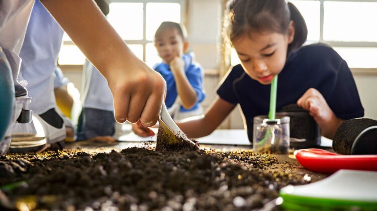 美中國際愛智學(xué)校