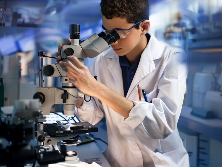 巴蜀常青藤國際學校