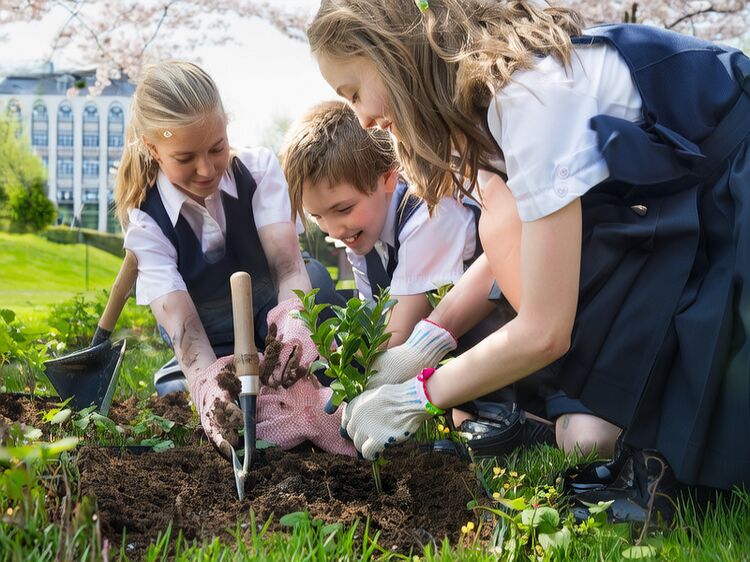 上海美國(guó)學(xué)校國(guó)際學(xué)校學(xué)校