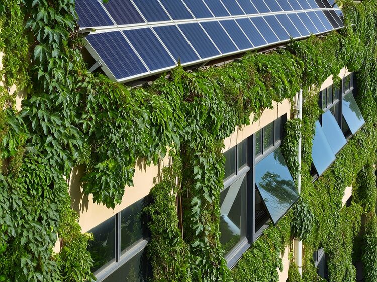 漢基國際學(xué)校