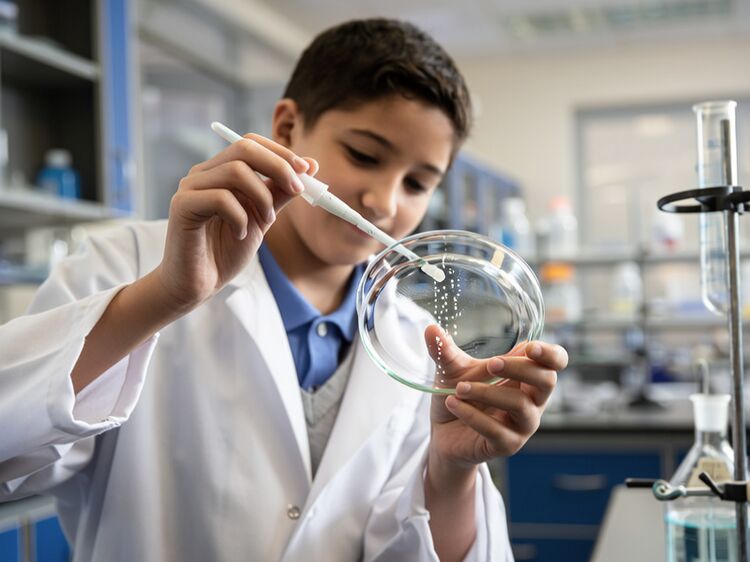 天津國際高中獎學金全榜單：百萬全獎、中考740分免學費，附申請入口