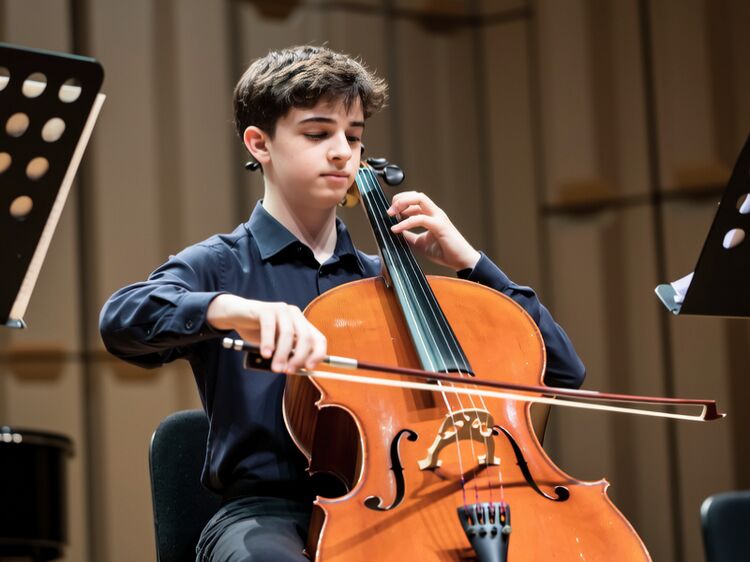 cis佛山國(guó)際學(xué)校