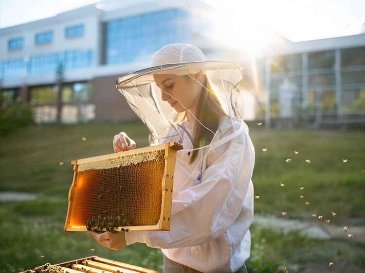北京國際藝術(shù)與科學(xué)學(xué)校