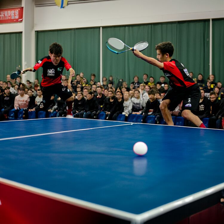 廣州白云區(qū)國(guó)際學(xué)校