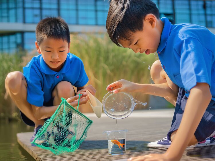 北京愛(ài)迪國(guó)際學(xué)校在哪個(gè)區(qū)