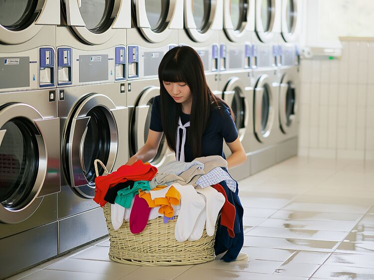 北京愛迪國(guó)際學(xué)校小學(xué)課程