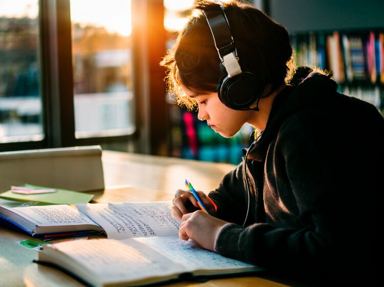 杭州橄欖樹國際學(xué)校簡介