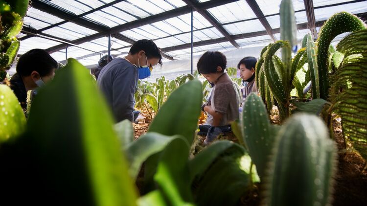 昌平國際高中有哪些