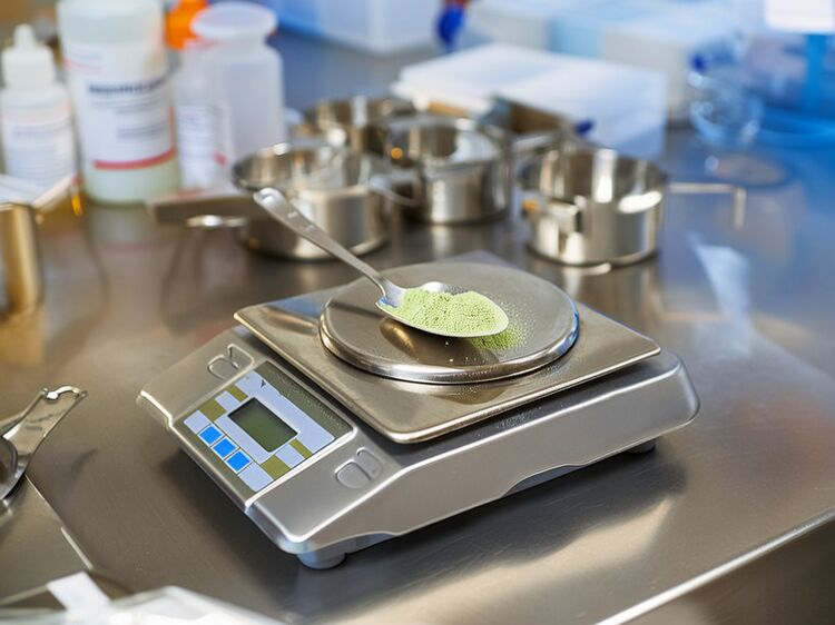 北京力邁國際學(xué)校官網(wǎng)