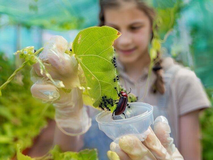 北京國際高中小語種學(xué)費(fèi)全攻略：日語/德語/韓語班價(jià)格對比