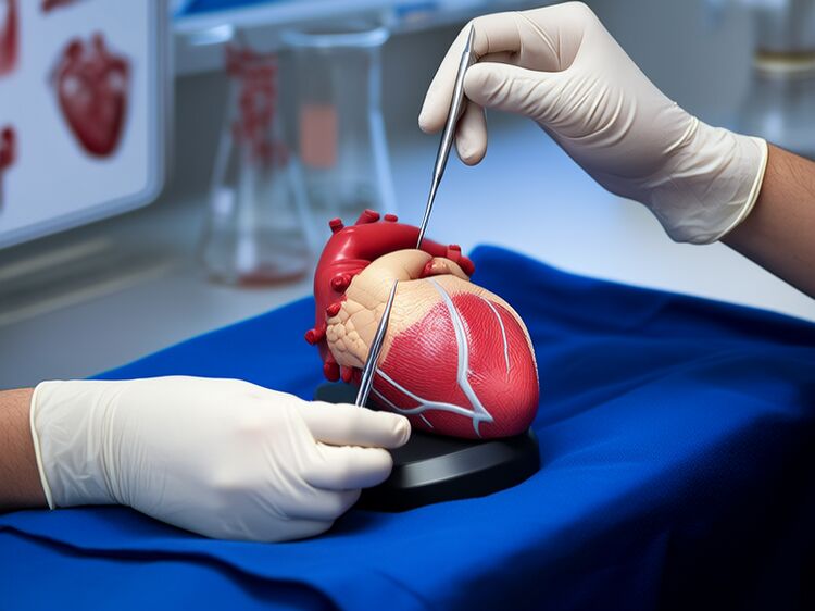 上國際學(xué)校初中