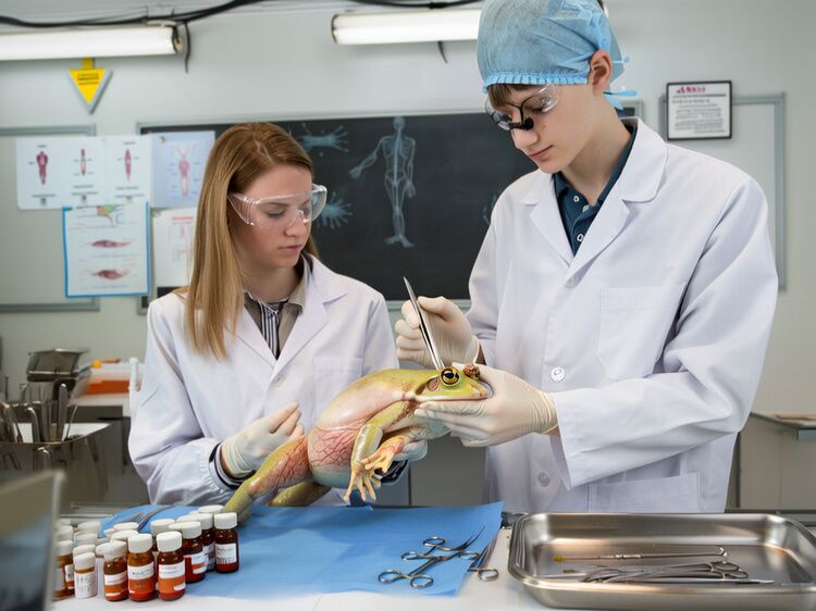 成都最好的國(guó)際學(xué)校是哪所