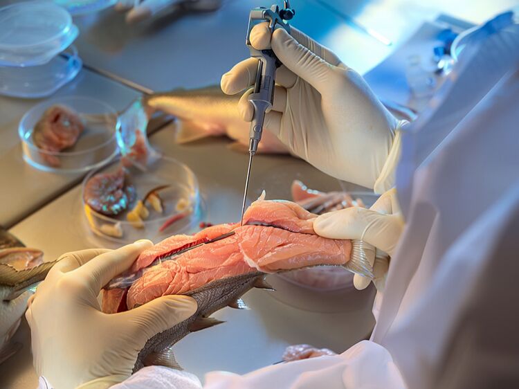 武清私立初中有幾個