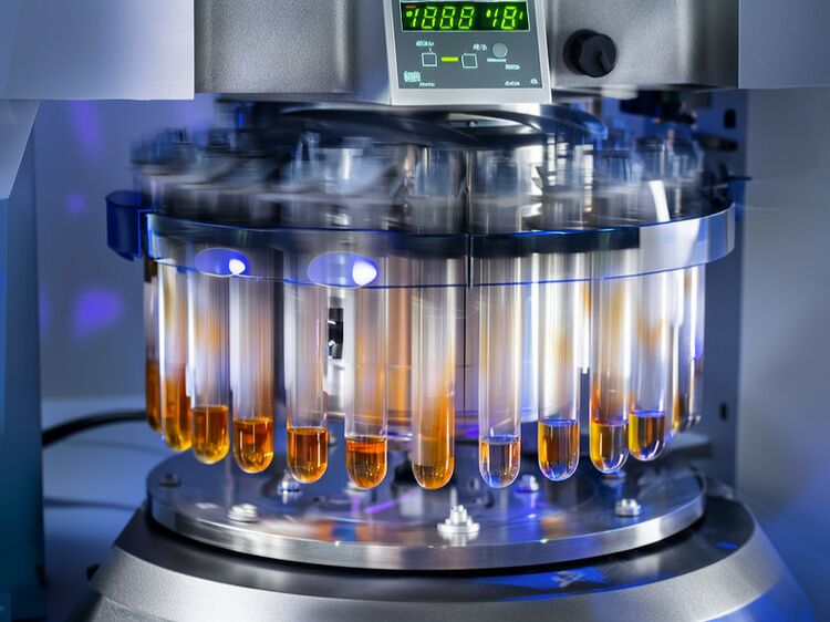 成都市國(guó)際學(xué)校排名榜