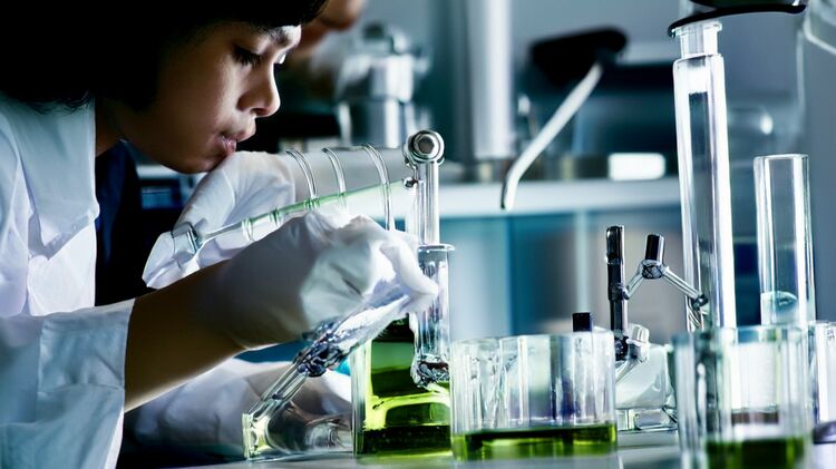 北京世青國際學(xué)校在哪個(gè)區(qū)