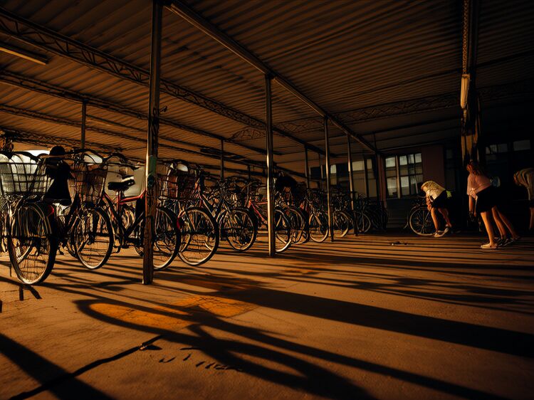 國際學(xué)校出國