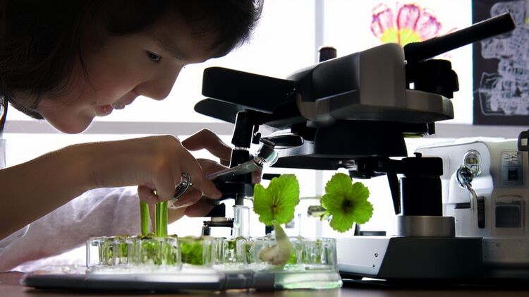 北京國際職業(yè)學(xué)校