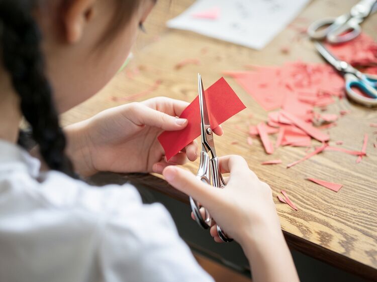 碧桂園國際學(xué)校南京