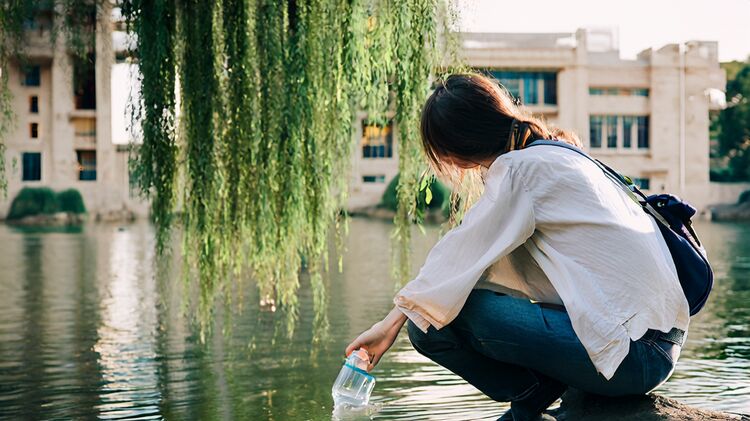 北京國際學(xué)校樂城